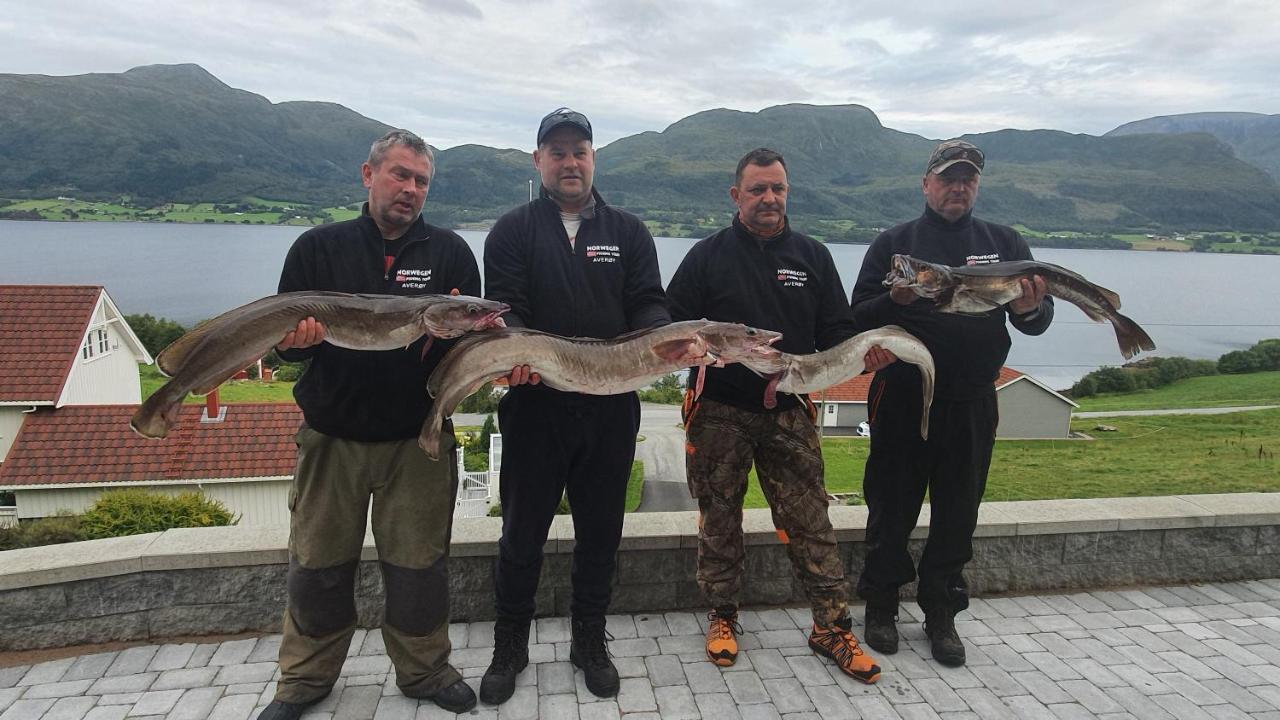 Kvernesfjorden Apartments Steinsgrenda المظهر الخارجي الصورة