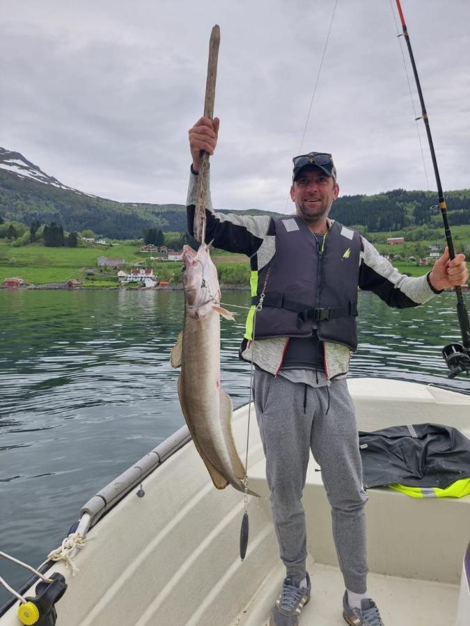 Kvernesfjorden Apartments Steinsgrenda المظهر الخارجي الصورة